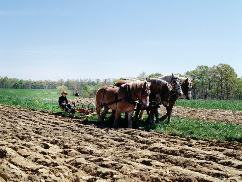 Amish farm scene in Pennsylvania in 2005.