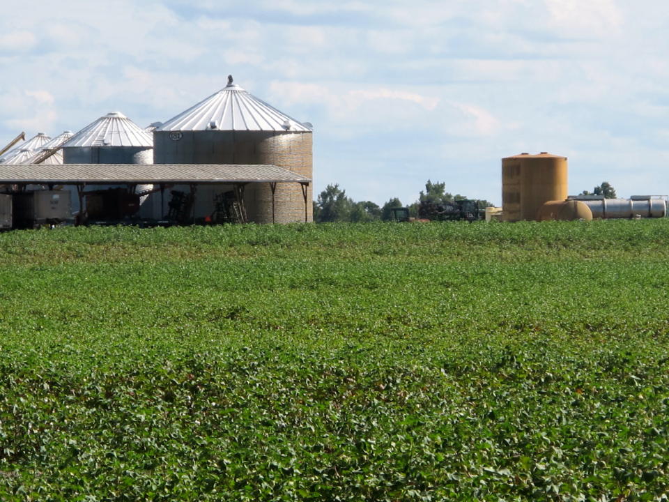 FILE - This Sept. 22, 2013 file photo shows a farm in Fort Motte, S.C. The U.S. Department of Agriculture released its preliminary Census of Agriculture on Thursday, Feb. 20, 2014. It showed that while there were fewer farms in 2012 than in 2007 in South Carolina, slightly more acreage was under cultivation. (AP Photo/Bruce Smith, file )