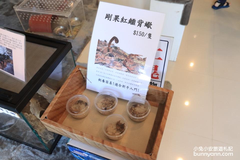 新嘉大昆蟲館