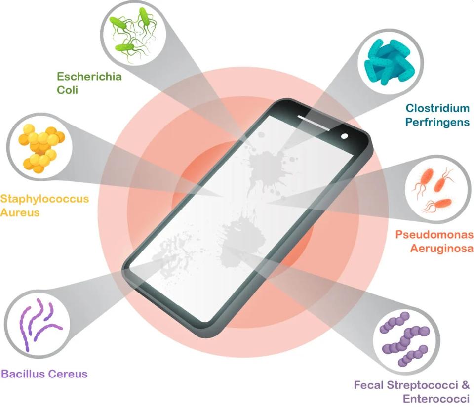El estudio encontró una sorprendente diversidad de bacterias en todos los teléfonos analizados | SellCell CC