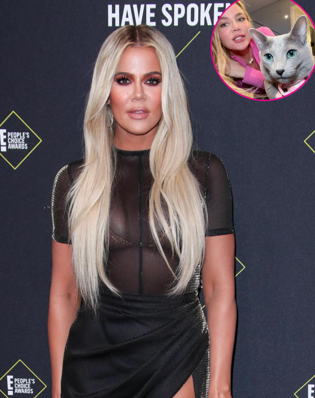 Khloé Kardashian Matches with True and Family Cat for Halloween