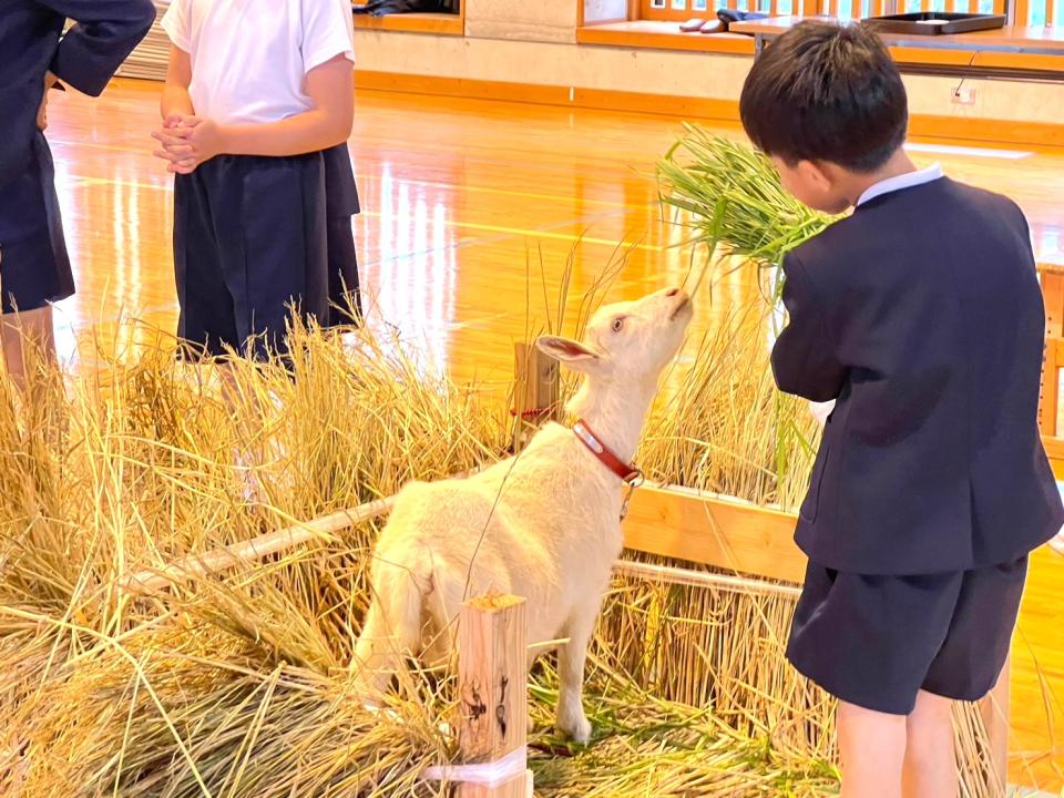孩子們餵南醬吃草。（圖／翻攝自臉書@鹿児島県伊佐市）