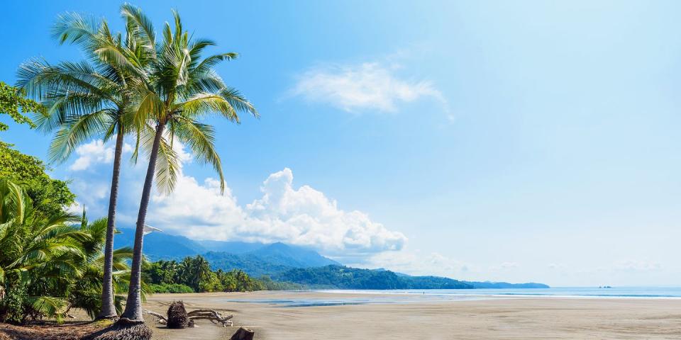 Marino Ballena National Park — Costa Rica