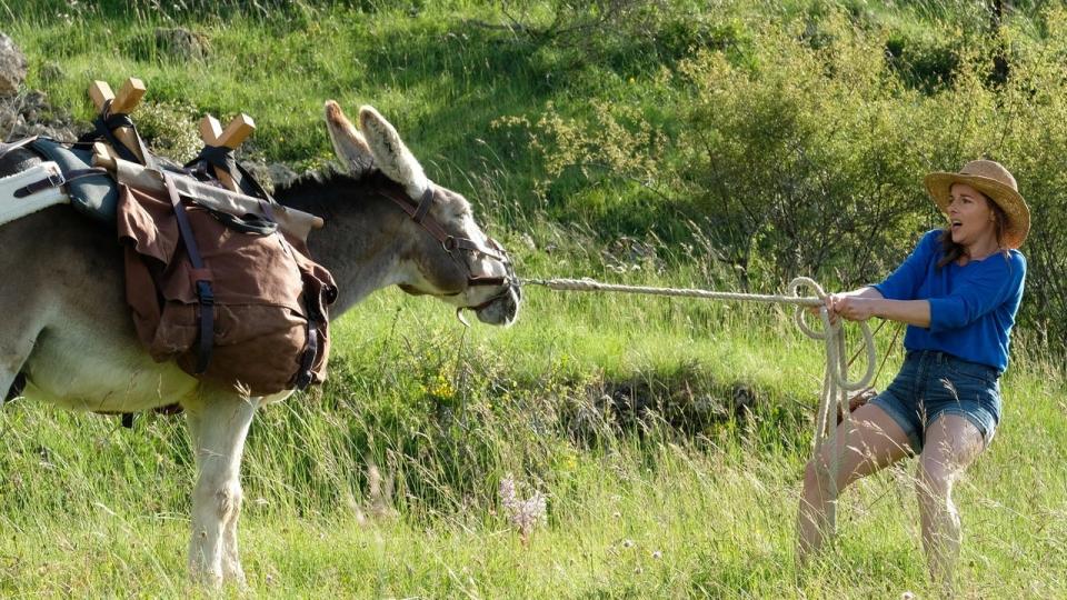 Part of The Donald M. Ephraim Palm Beach Film Festival, "My Donkey, My Lover, & I" will be shown 6 p.m. Jan. 29 at IPIC Boca. In this film, Antoinette, (Laure Calamy), is looking forward to her long-planned summer holidays with her secret lover Vladimir. When learning that Vladimir can’t make it because his wife organized a surprise trekking trip in the Cevennes National Park, Antoinette impulsively decides to follow them, with Patrick, a cantankerous, protective donkey.