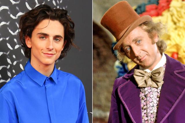 Timothee Chalamet cast as young Willy Wonka in Roald Dahl prequel film