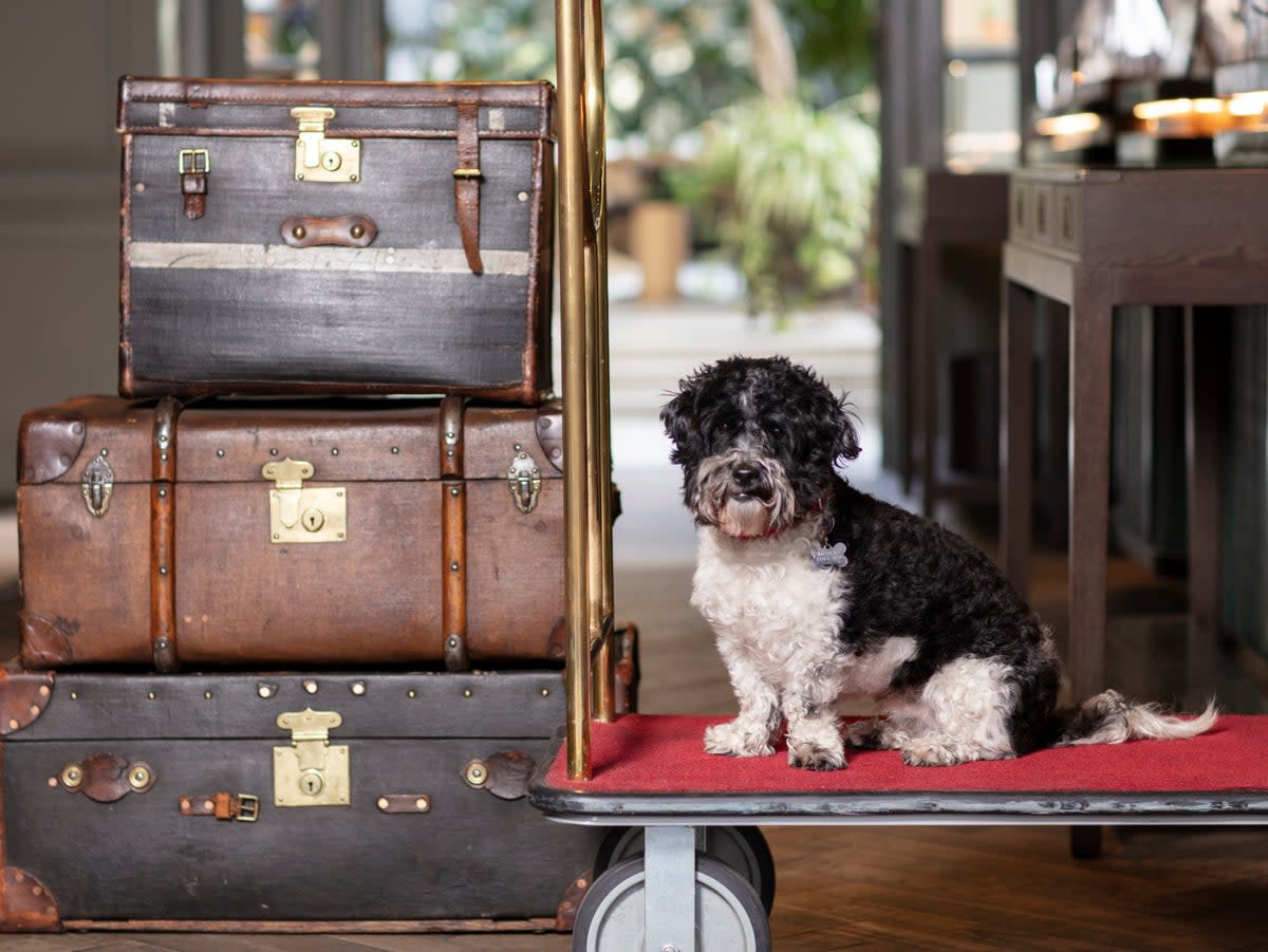 Hitch a ride on the luggage trolley after exploring this hotel’s private gardens (Kimpton Hotels)