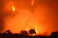 <p>Flames from the Thomas Fire burn in the hills of Montecito, California, east of Santa Barbara, Dec. 11, 2017. (Photo: Robyn Beck/AFP/Getty Images) </p>