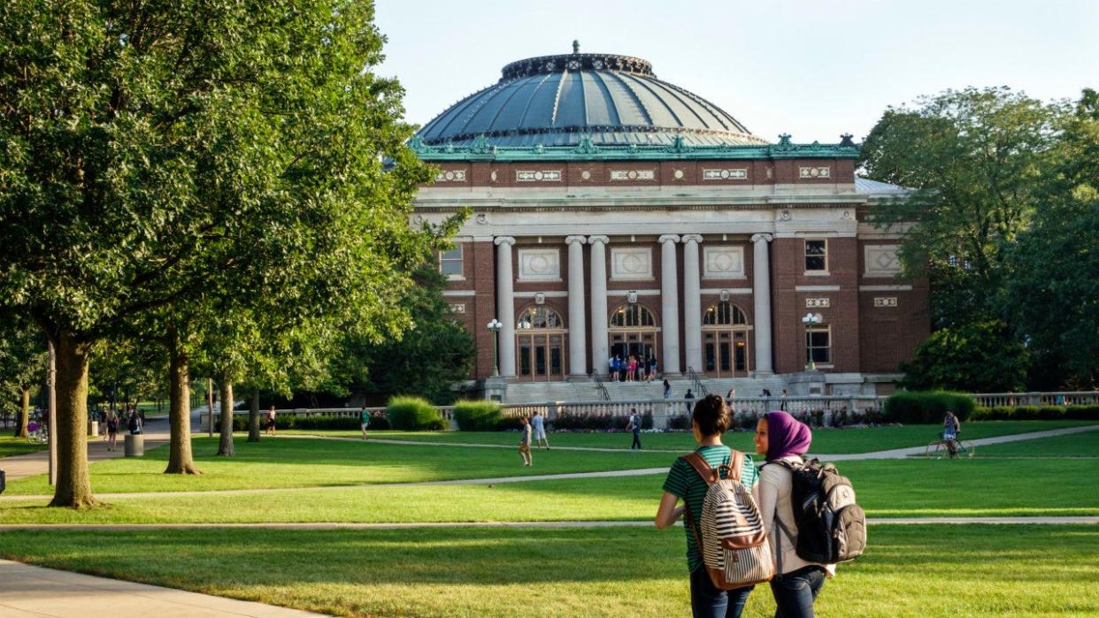 <div>(Jeffrey Greenberg/Universal Images Group via Getty Images)</div> <strong>(The University of Illinois Urbana-Champaign quad)</strong>