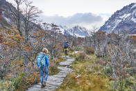 Patagonie. Rien que l'évocation de cette région du bout du monde invite au rêve et nous transporte déjà sur une autre planète. Lacs émeraudes, montagnes enneigées, forêt tropicale luxuriante... Les paysages de rêve ne manquent pas.