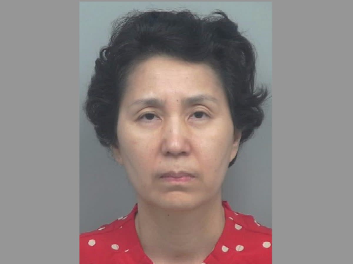 Mihee Lee, 54, arrested and charged with murder after decomposing body found (Gwinnett County Police)