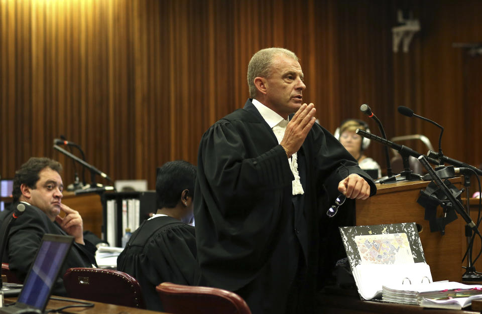 State prosecutor Gerrie Nel puts questions to a ballistics expert in court in Pretoria, South Africa, Wednesday, March 19, 2014, where athlete Oscar Pistorius is on trial for the murder of his girlfriend Reeva Steenkamp on Valentine's Day in 2013. (AP Photo/Themba Hadebe, Pool)