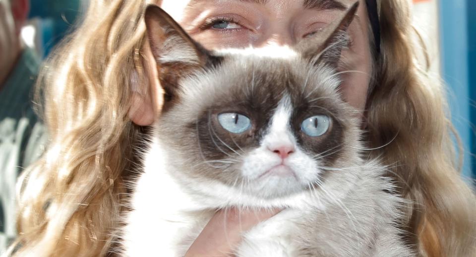 Grumpy Cat, one of the internet's most beloved celebrity cats, died on Tuesday at the age of 7. (Photo: Tibrina Hobson via Getty Images)