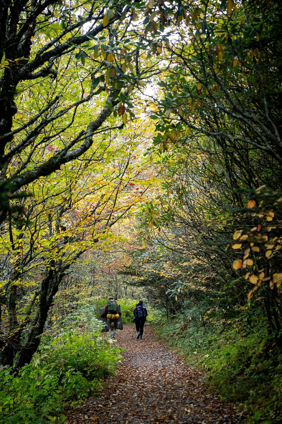 Hikers walk along the Sam Knob Trail in the Blue Ridge Mountains.