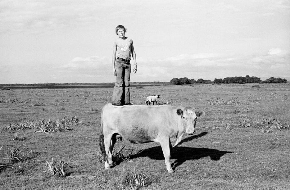 Standing Tall on Gráinne, (quietest cow in Mayo, milked for the house. This Charolais cow had 17 calves and lived to be 21. Down the Shraigh), 1975 (© Tom Wood)