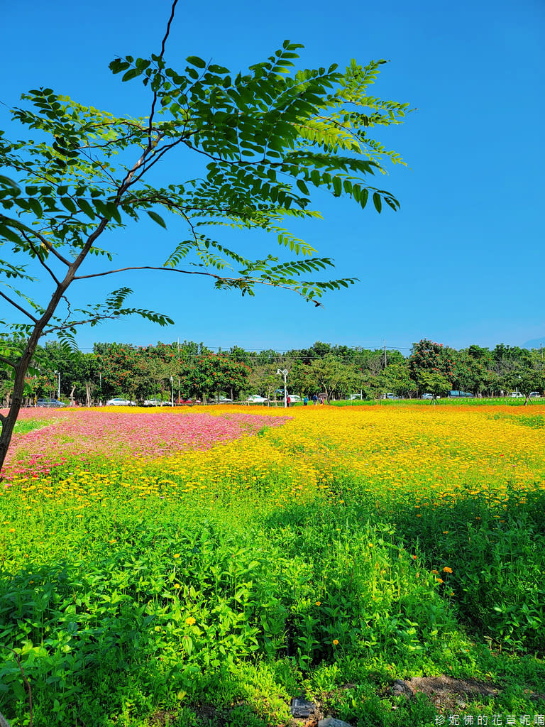 屏東｜新埤鄉綜合休閒公園