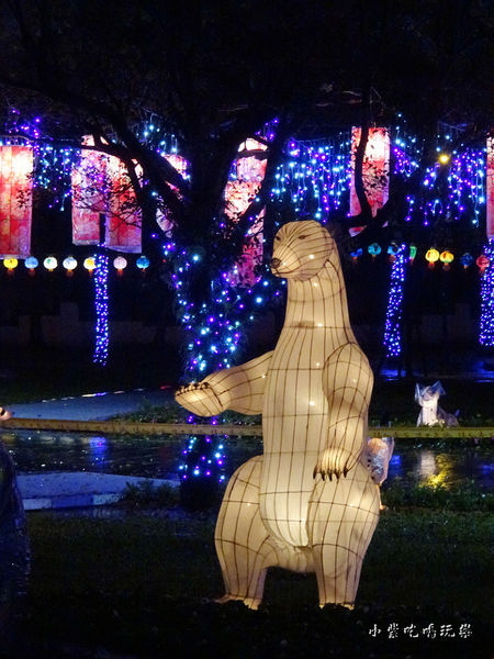 宜蘭賞花燈-員山公園25.jpg