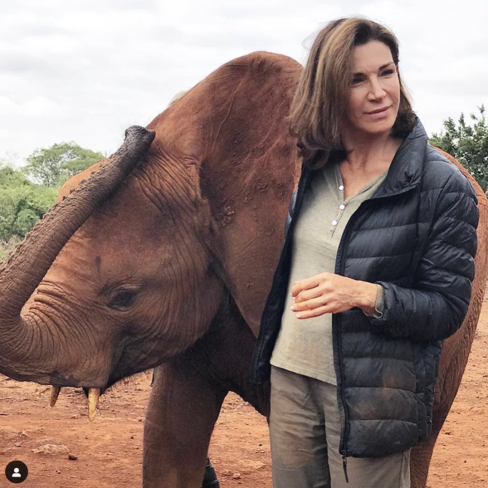 a person standing next to an elephant