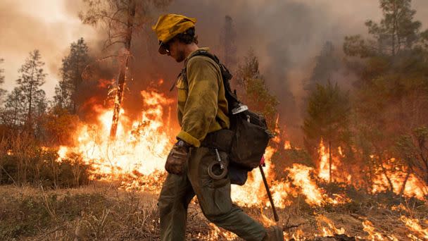 PHOTO: A firefighter uses a drip torch during the Mosquito fire near Volcanoville, Calif., on Sept. 9, 2022. (Bloomberg via Getty Images)