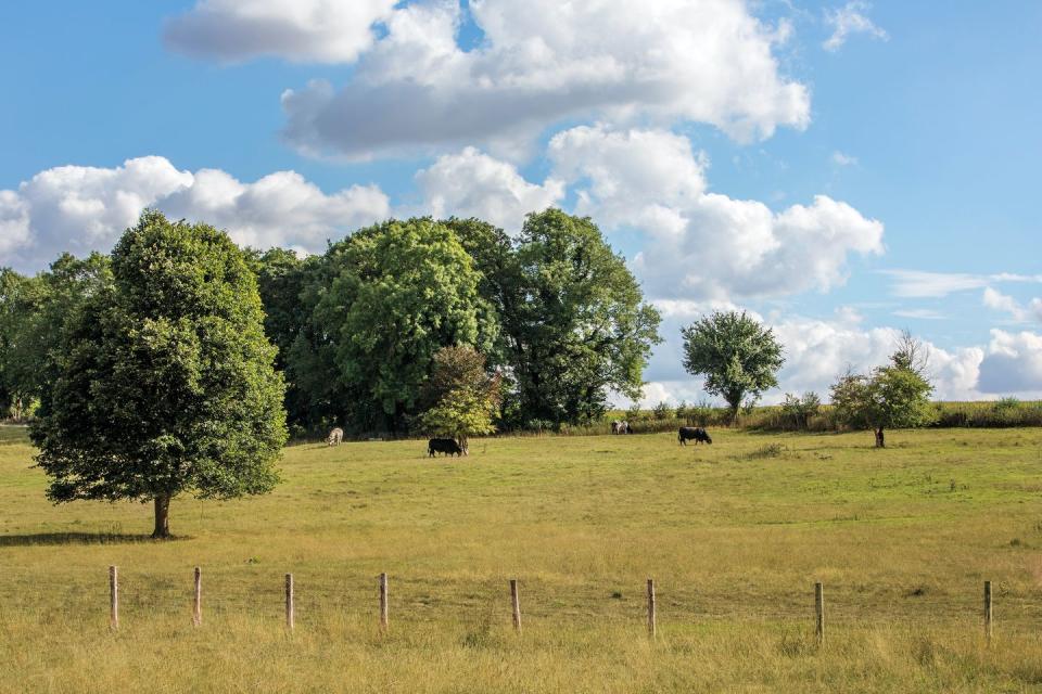 jane austen birthplace for sale