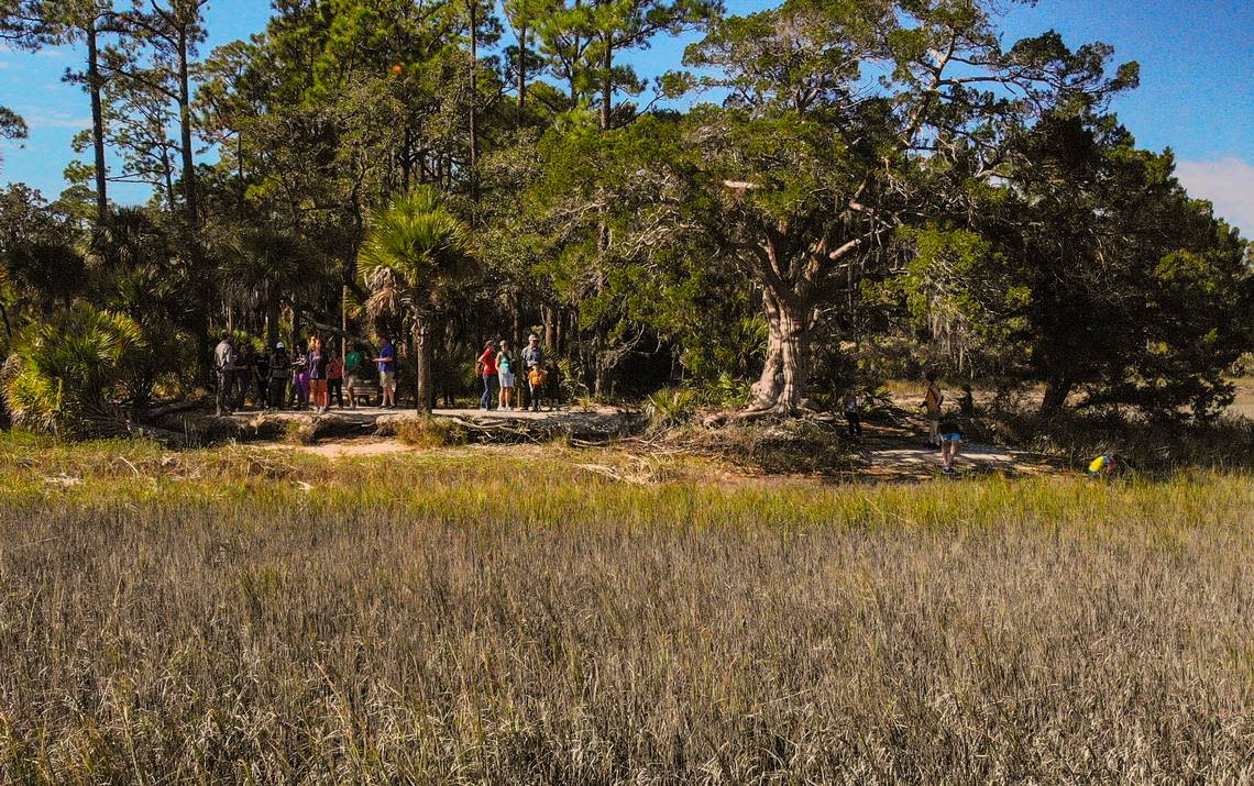 A family and a group of students from the University of South Carolina Beaufort share the view of the Port Royal Sound at low tide from the end of Widgeon Point Preserve on Nov. 2, 2022 located along S.C. 170 in Beaufort County.