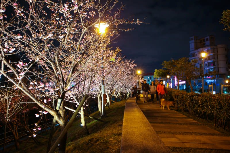 內湖區樂康里樂活公園櫻花步道（北市府）