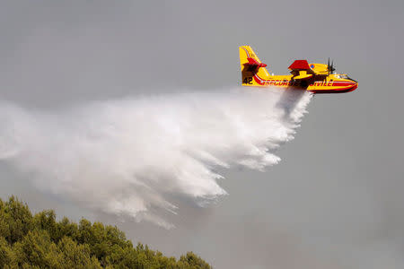 A Canadair firefighting aircraft drops water on a wildfire which burns a forest in Carros, near Nice, France, July 24, 2017. REUTERS/Eric Gaillard