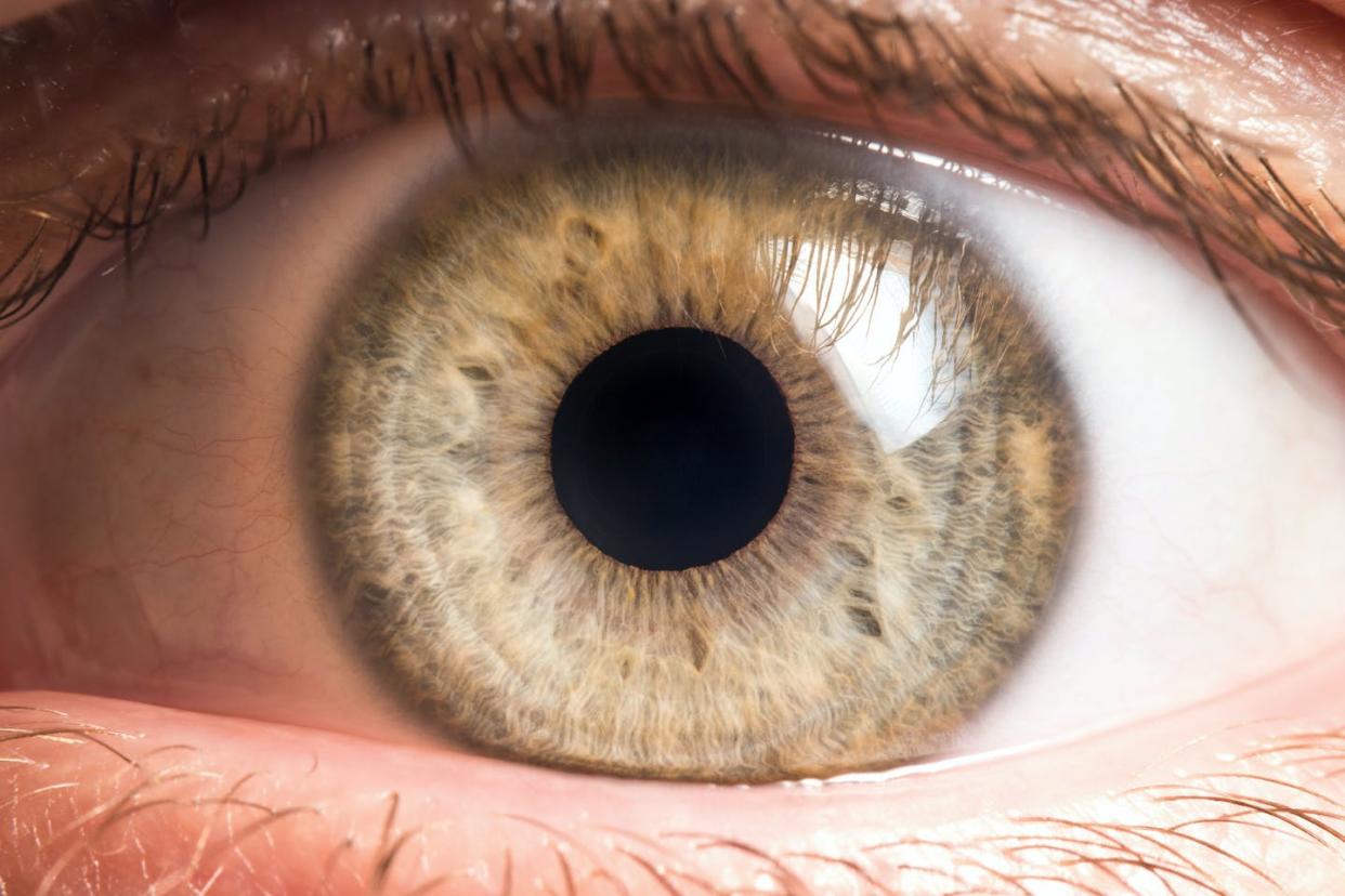 <span class="caption">The eye has a collection of microbes living on the surface that keep it healthy. </span> <span class="attribution"><a class="link " href="https://www.shutterstock.com/image-photo/human-eye-medical-detail-1345654691?src=3EN65aoLrSklI70CS0rGYw-1-0&studio=1" rel="nofollow noopener" target="_blank" data-ylk="slk:photoJS/Shutterstock.com;elm:context_link;itc:0;sec:content-canvas">photoJS/Shutterstock.com</a></span>