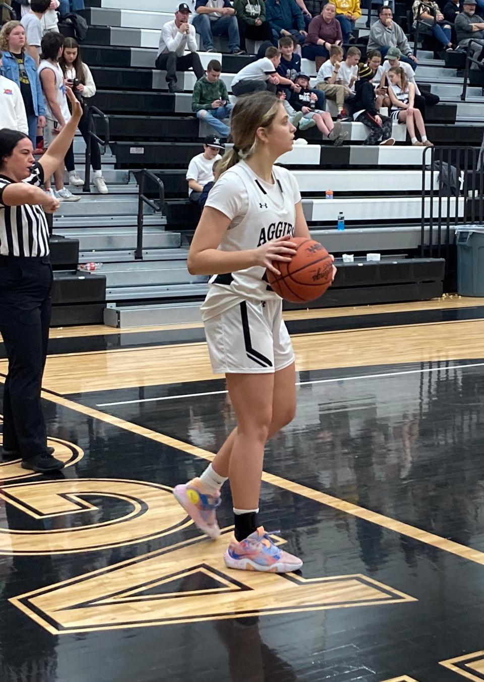 Dansville junior guard Megan Zeitz looks for an open teammate during a contest against Laingsburg on January 13, 2023.