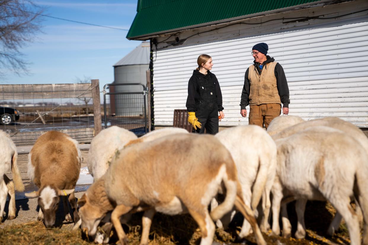 Kayla Skramstad talks with state Rep. Mike Sexton as they feed a herd of sheep on Sexton's farm near Rockwell City.