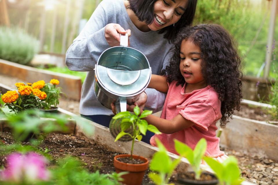 Gardening supplies are already starting to get scarce as the weather warms up and Americans turn their attention to their backyards.