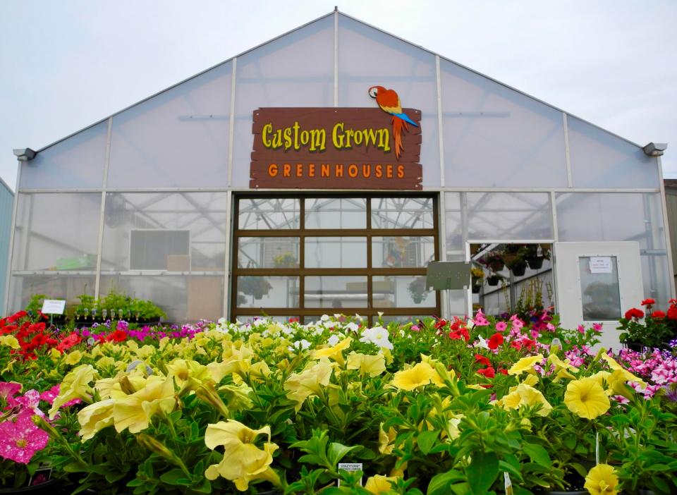 Custom Grown Greenhouses opened at its new location next to the Layton Fruit Market, 1838 East Layton Avenue in St. Francis on May 1, 2024.
