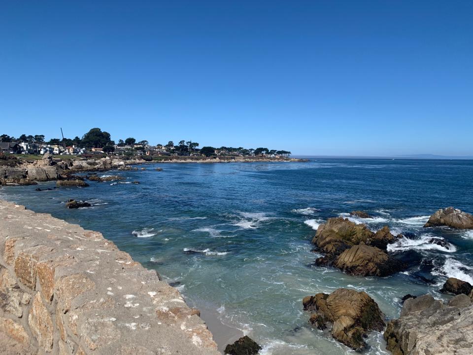 The waters off Lovers Point in Monterey are sheltered, shallow and easily accessible, making it a great spot for novice divers.