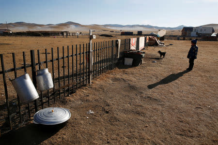 Ukhaanzaya Gankhuyag, 5, looks at a dog outside a Mongolian ger in Tov province outside Ulaanbaatar, Mongolia January 30, 2019. Picture taken January 30, 2019. REUTERS/B. Rentsendorj