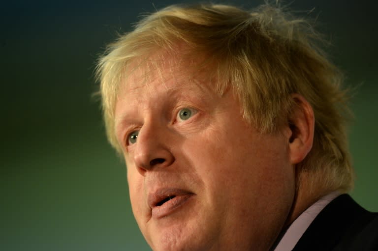 Leading Brexit campaigner Boris Johnson, the former mayor of London
