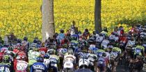 The pack of riders cycles on its way during the 237.5km 16th stage of the Tour de France cycling race between Carcassonne and Bagneres-de-Luchon, July 22, 2014. REUTERS/Jean-Paul Pelissier