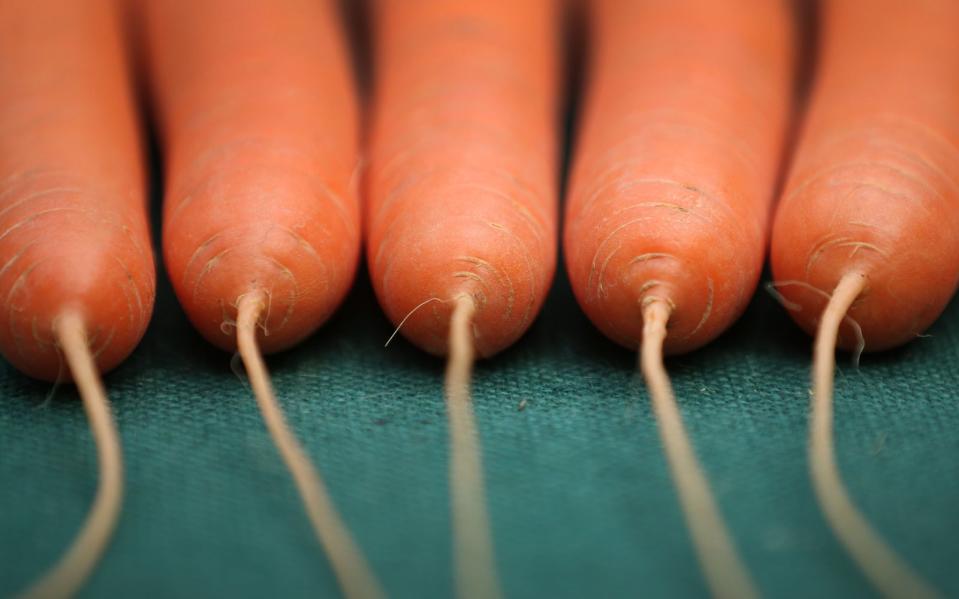 Wissen Sie, dass die meisten Vitamine und Nährstoffe direkt unter der Schale stecken? Verzichten Sie deshalb so oft es geht auf unnötiges Schälen! Karotten oder Hokkaidokürbisse schmecken beispielsweise auch mit Schale. Probieren Sie es aus! (Bild: Getty Images / Peter Macdiarmid)