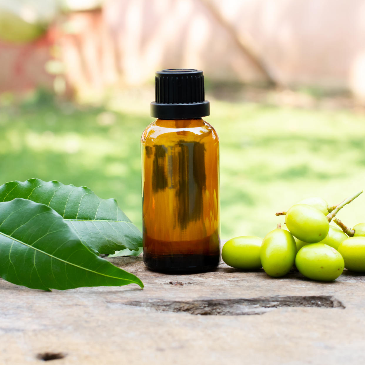  Bottle of neem oil beside leaves and berries. 