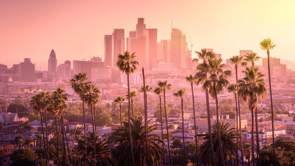 Beautiful sunset of Los Angeles downtown skyline and palm trees in foreground.