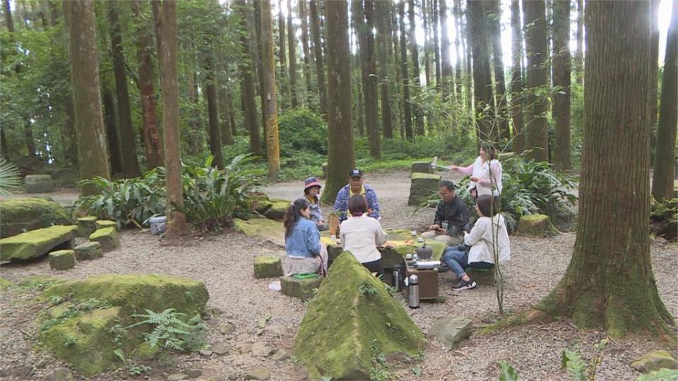 來一場阿里山茶旅行！　嘉義縣推「茶香步道」