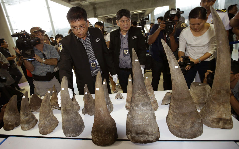 FILE - In this March 14, 2017, file photo, customs officers display seized rhino horns during a press conference at the Suvarnabhumi airport, Bangkok, Thailand. Thailand's anti-money laundering authorities said Thursday they have seized or frozen more than 330 million baht ($11 million) in assets in a sting operation against a suspected wildlife trafficking ring. (AP Photo/Sakchai Lalit, File)