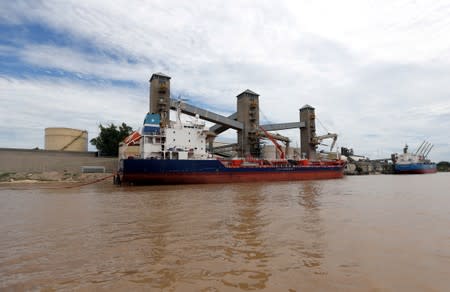 FILE PHOTO: Grain is loaded aboard ships for export at a port on the Parana river near Rosario