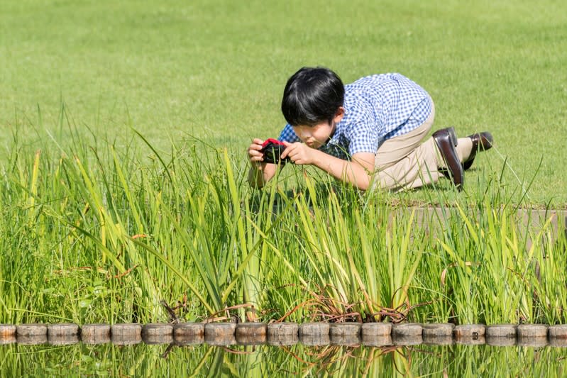 FILE PHOTO: Japan's Prince Hisahito, the only son of Prince Akishino and Princess Kiko, takes a photo on the grounds of the Akasaka Estate in Tokyo