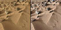 This pair of images from the Mast Camera on NASA's Curiosity rover shows the upper portion of a wind-blown deposit dubbed "Rocknest." (NASA)