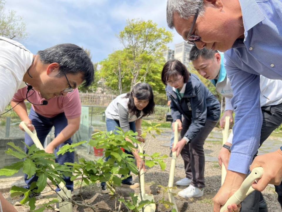 新竹市政府與林業保育署，共同在將軍村種下槲櫟樹苗，啟動新竹市瀕危植物復育。（圖/記者黃溎芬翻攝）