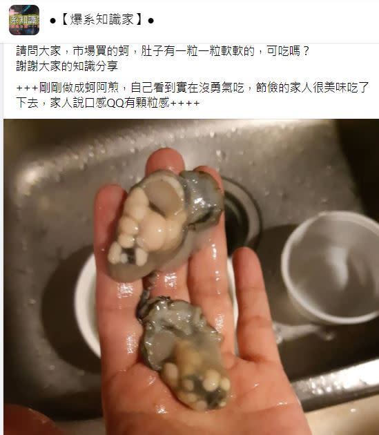 網友表示買到長滿「腫瘤」的蚵仔，不少人看了直呼噁心，也釣出內行人揭露真相。（圖／翻攝自爆系知識家）