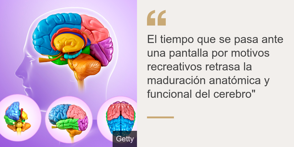 "El tiempo que se pasa ante una pantalla por motivos recreativos retrasa la maduración anatómica y funcional del cerebro"", Source: , Source description: , Image: 