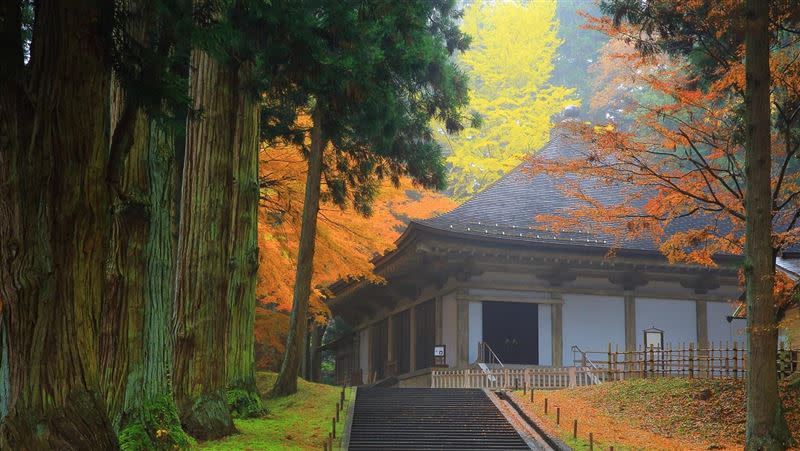 超過千年歷史的世界遺產「中尊寺」，是日本東北岩手縣著名賞楓景點。（圖／旅天下提供）