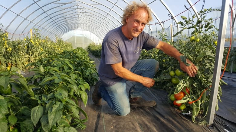 Breaking ground: Market gardens in northern Sask. growing prosperity from 'sand'