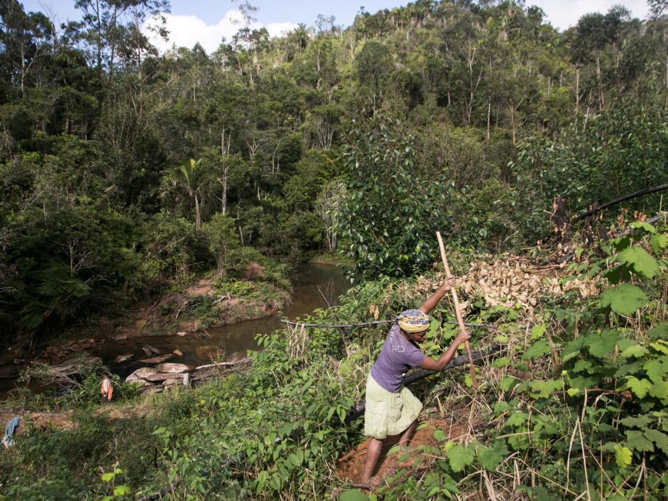 Madagascar is one of the poorest nations in the world, and many people there rely on agriculture to survive: Rijasolo/Getty