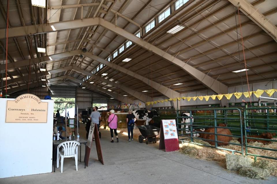 The Dairy and Beef Cattle barn at the Northwest Washington Fair in Lynden, WA on Aug. 11, 2022.